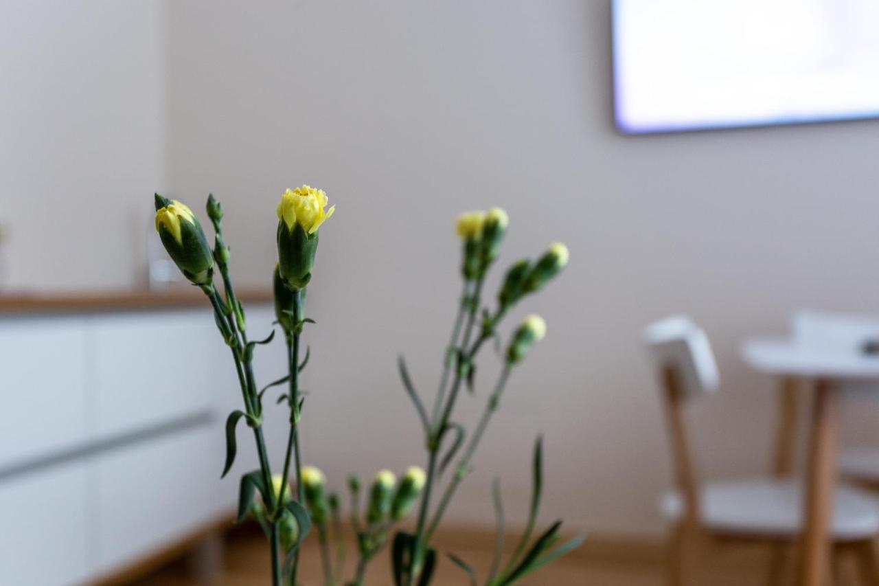 Violetos Lux Apartamentai2 Druskininkai Bagian luar foto